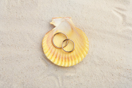 Honeymoon concept. Two golden rings with shell on sand, top viewの写真素材