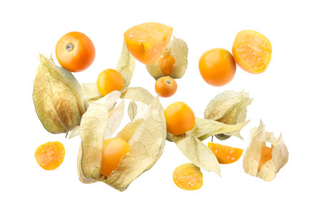 Ripe orange physalis fruits with calyx falling on white backgroundの写真素材
