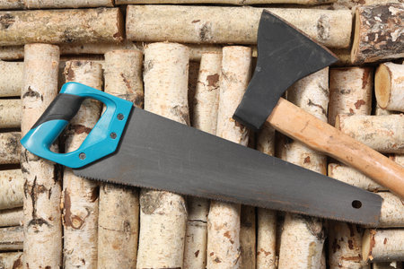 Saw with light blue handle and ax on firewood, flat lay