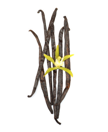 Aromatic vanilla pods and beautiful flower isolated on white, top view
