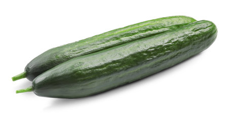 Two long fresh cucumbers isolated on whiteの写真素材