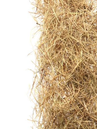Dried hay on white background, top viewの写真素材