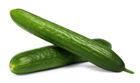 Two long fresh cucumbers isolated on whiteの写真素材