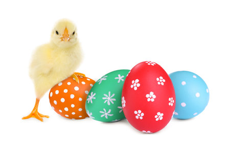 Happy Easter. Cute chick and painted eggs isolated on whiteの写真素材