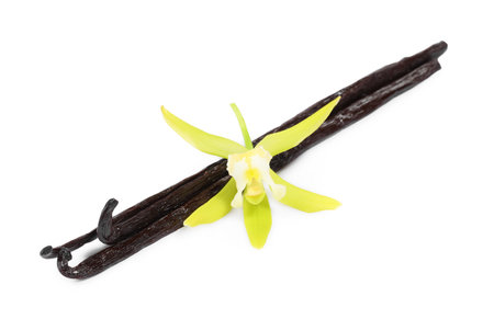 Vanilla pods and beautiful flower isolated on whiteの写真素材