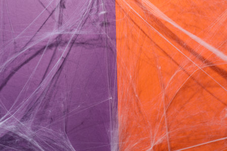 Creepy white cobweb hanging on color backgroundの写真素材