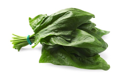 Bunch of fresh spinach leaves isolated on whiteの写真素材