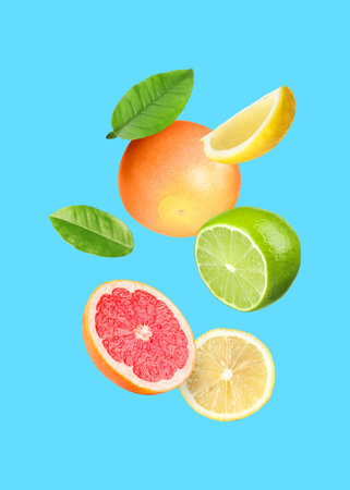 Many different fresh citrus fruits in air on light blue backgroundの写真素材