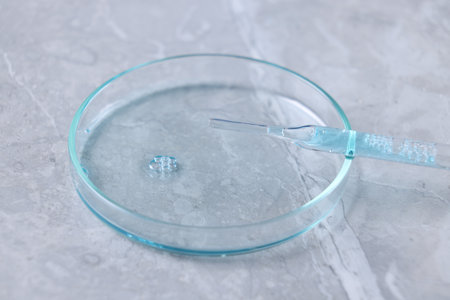 Glass pipette and petri dish with liquid on gray marble table, closeup