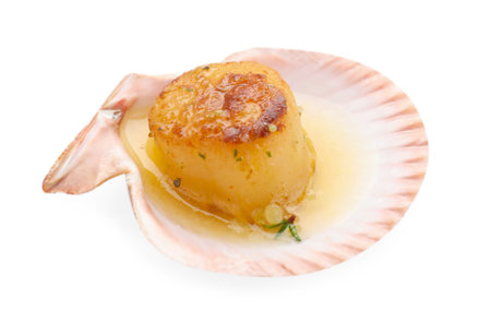 Delicious fried scallop in shell isolated on white