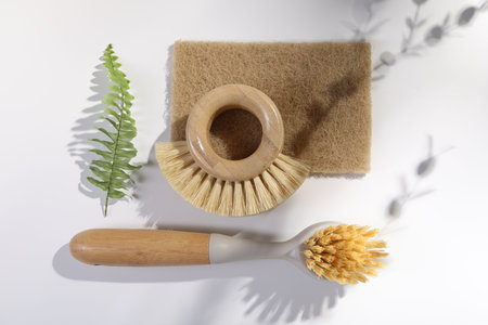 Cleaning brushes, sponge and fern leaf on white background, flat layの写真素材
