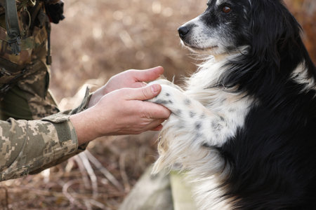 Stray dog giving paw to Ukrainian soldier outdoors, closeupの写真素材
