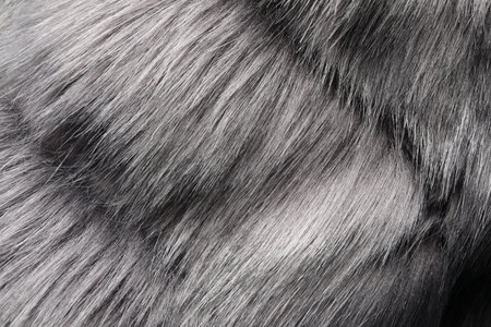Texture of gray faux fur as background, closeup