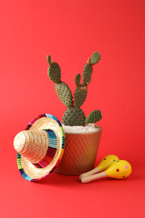 Mexican sombrero hat, cactus and maracas on red backgroundの写真素材