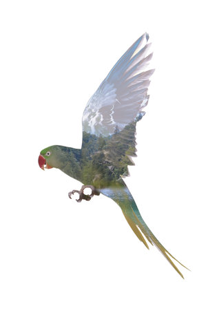 Double exposure of Alexandrine parakeet and mountains with river