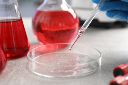 Laboratory analysis. Dripping red liquid into Petri dish on light gray table, closeup