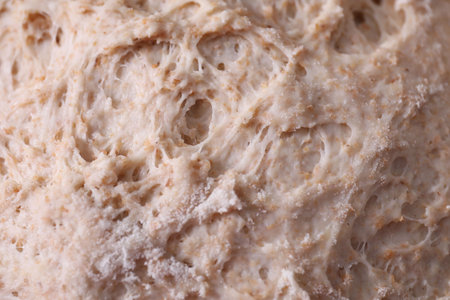 Closeup view of fresh sourdough as backgroundの写真素材