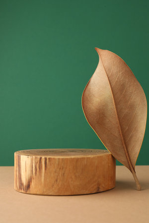 Presentation for product. Wooden podium and dry leaf on color background. Space for textの写真素材