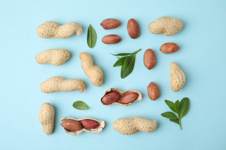 Fresh peanuts and leaves on light blue table, flat layの写真素材
