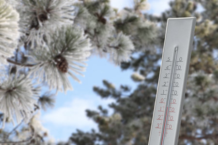 Thermometer showing temperature in snowy forest, winter weatherの写真素材