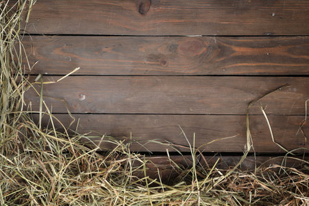 Frame made of dried hay on wooden table, top view. Space for textの写真素材