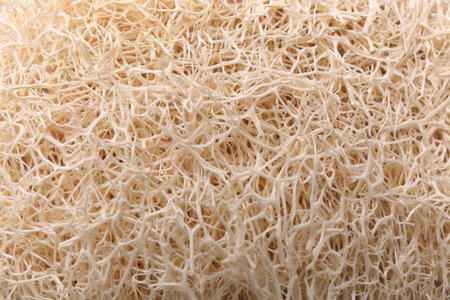 Loofah sponge as background, closeup. Personal hygiene productの写真素材