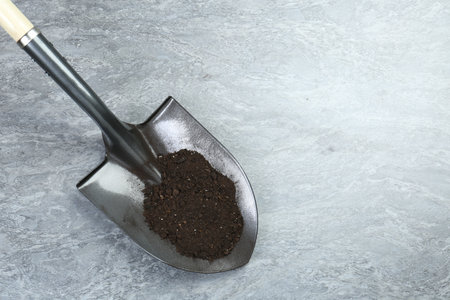 Metal shovel with fertile soil on gray textured surface, top view. Space for text