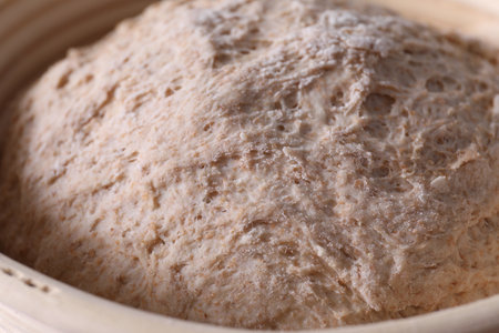 Fresh sourdough in proofing basket, closeup view