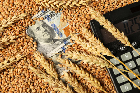 Dollar banknotes, calculator and wheat ears on grains, closeup. Agricultural businessの写真素材