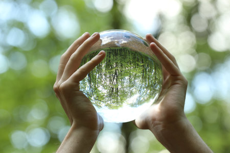 Green trees outdoors, overturned reflection. Man holding crystal ball in forest, closeup