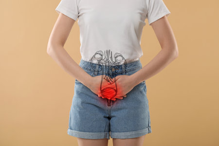 Woman suffering from cystitis on beige background, closeup. Illustration of the urinary systemの写真素材