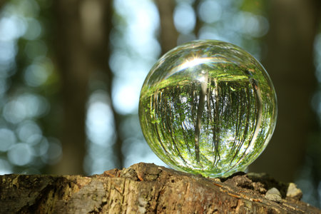 Green trees outdoors, overturned reflection. Crystal ball on stump in forest. Space for textの写真素材