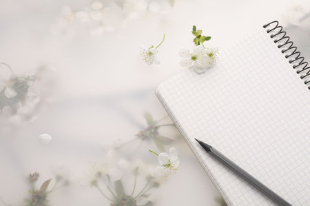 Guest list. Notebook, pencil and beautiful cherry tree blossoms on spring floral background, flat lay. Space for textの写真素材