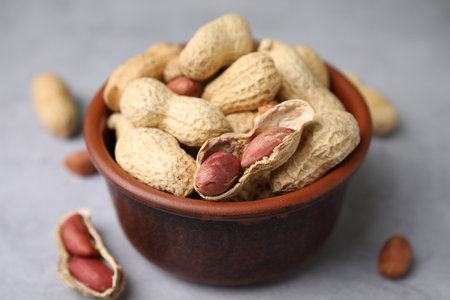Fresh unpeeled peanuts in bowl on gray table, closeupの写真素材