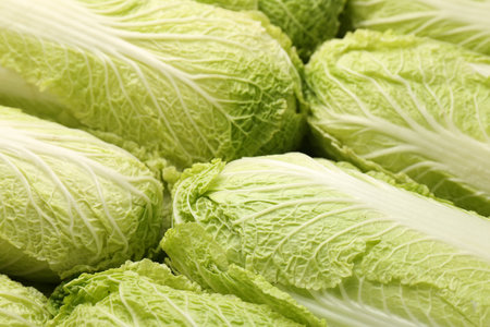 Fresh ripe Chinese cabbages as background, closeupの写真素材
