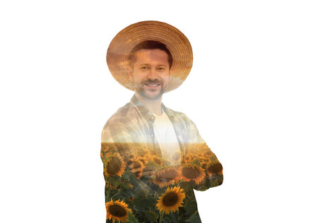 Double exposure of farmer and sunflower field on white backgroundの写真素材