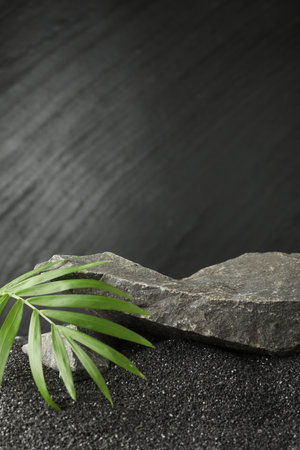 Presentation of product. Stone podium and palm leaves on black sand against dark textured background. Space for textの写真素材