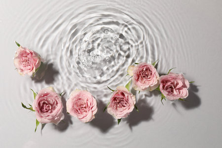 Beautiful roses in water on white background, top viewの写真素材