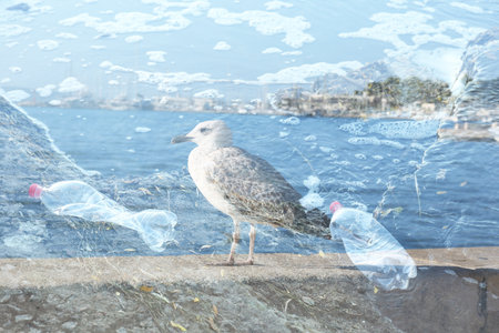 Plastic garbage and seagull, double exposure. Environmental pollutionの写真素材