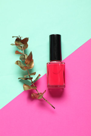 Nail polish and golden branch on color background, top viewの写真素材