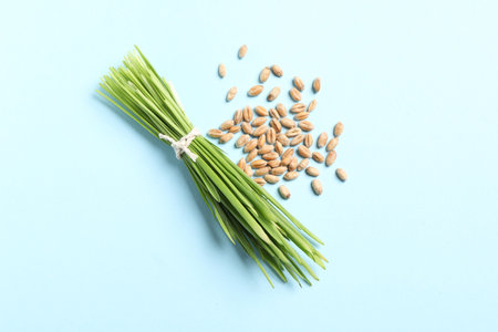 Sprouts of wheat grass and seeds on light blue background, flat lay