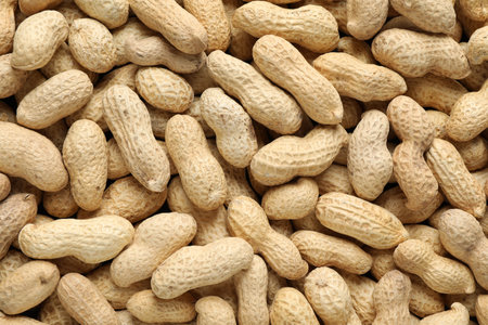 Many fresh unpeeled peanuts as background, top viewの写真素材