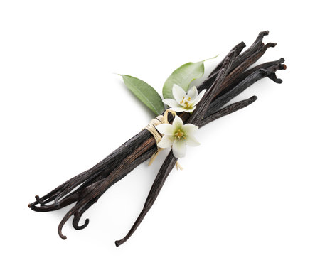 Vanilla pods, green leaves and flowers isolated on white, above viewの写真素材