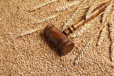 Wooden gavel and wheat ears on grains. Agricultural deal