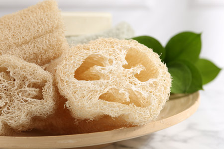 Loofah sponges and green leaves on table, closeupの写真素材