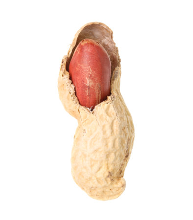 Broken raw peanut pod isolated on white