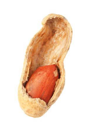 Broken raw peanut pod isolated on whiteの写真素材