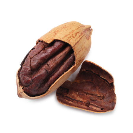 Tasty pecan nut with shell isolated on white, top viewの写真素材