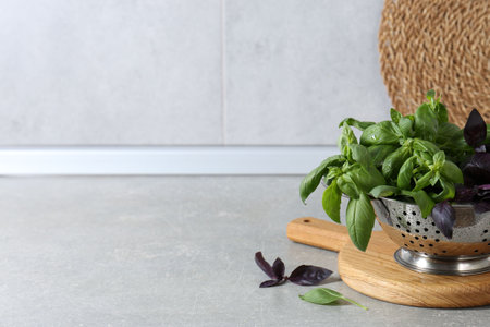 Metal colander with different fresh basil leaves on gray countertop, space for text