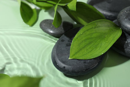 Spa stones and fresh leaves on light green background, closeupの写真素材